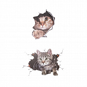 Car Stickers, 2 pcs.