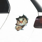 Car Stickers, 2 pcs.
