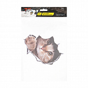 Car Stickers, 2 pcs.