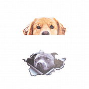 Car Stickers, 2 pcs.