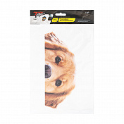 Car Stickers, 2 pcs.